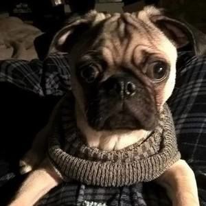 Meet your Posher, Mike